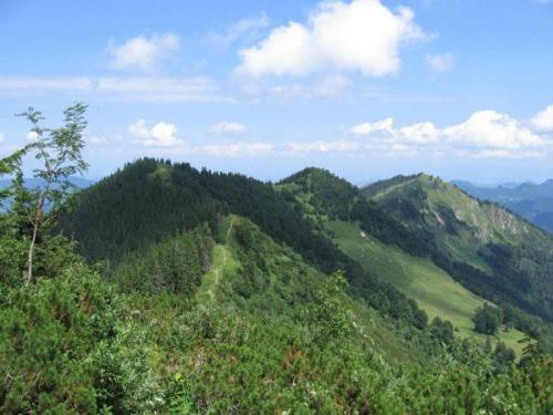 Landgasthof Kirchenwirt 그로스라밍 외부 사진